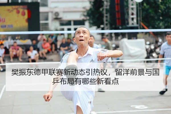 樊振东德甲联赛新动态引热议，留洋前景与国乒布局有哪些新看点